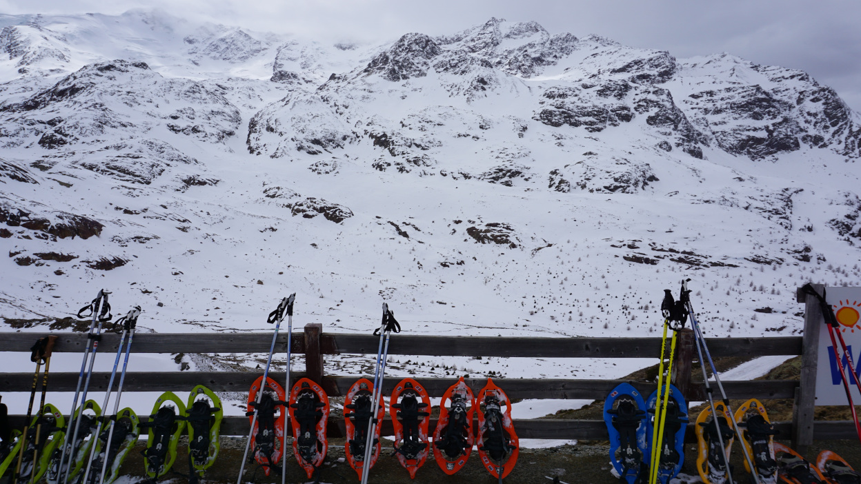 Snowshoe hiking in Bormio, 2023